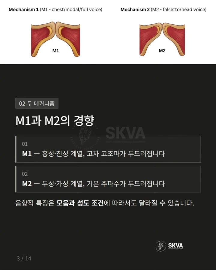 카드뉴스 — 믹스드 보이스는 정말 '얇은 소리'일까요? · 3 / 14